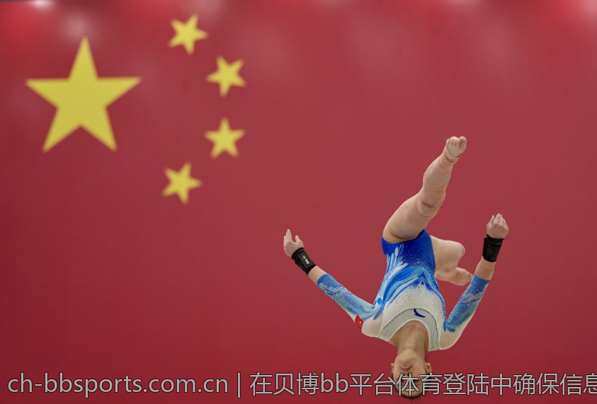 在贝博bb平台体育登陆中确保信息安全的技巧
