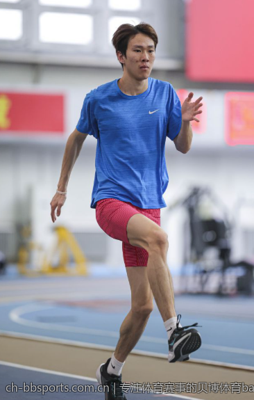 专注体育赛事的贝博体育ballbet平台