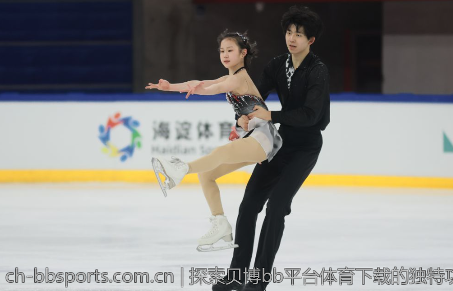 探索贝博bb平台体育下载的独特功能与优势