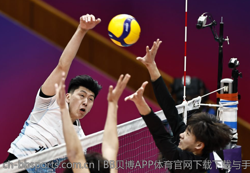 BB贝博APP体育官网下载下载与手机适配性分析